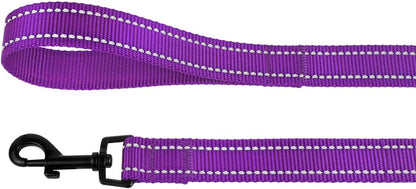 Nylon Dog Leash 5Ft for Daily Outdoor Walking Running Training Heavy Duty Reflective Pet Leashes for Large, Medium & Small Dogs (M, Purple)