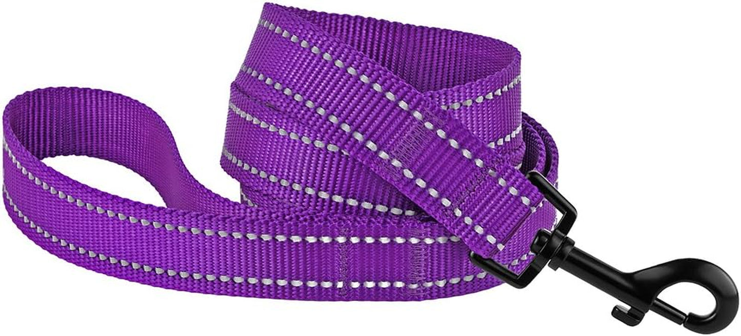 Nylon Dog Leash 5Ft for Daily Outdoor Walking Running Training Heavy Duty Reflective Pet Leashes for Large, Medium & Small Dogs (M, Purple)