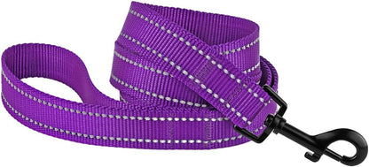 Nylon Dog Leash 5Ft for Daily Outdoor Walking Running Training Heavy Duty Reflective Pet Leashes for Large, Medium & Small Dogs (M, Purple)